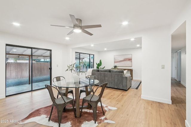 dining room with ceiling fan and light wood-type flooring