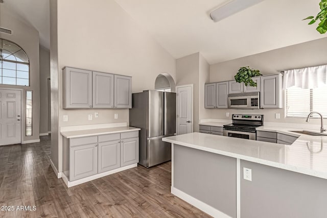 kitchen with stainless steel appliances, gray cabinets, a sink, wood finished floors, and high vaulted ceiling