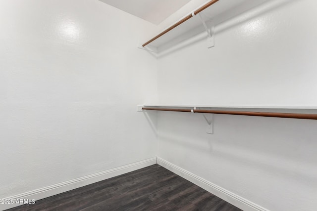 walk in closet featuring dark wood-style flooring