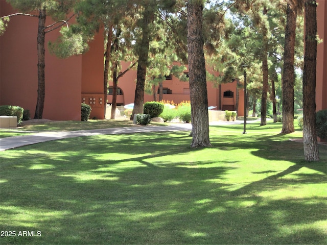 view of property's community with a yard