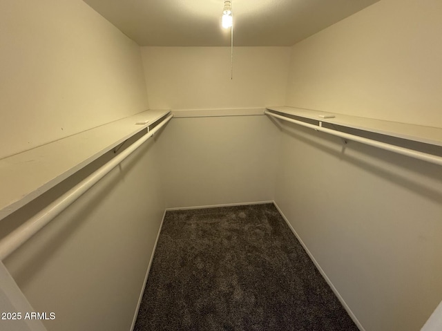 4849 W Northern Ave, Glendale, AZ 85301 - walk in closet with carpet