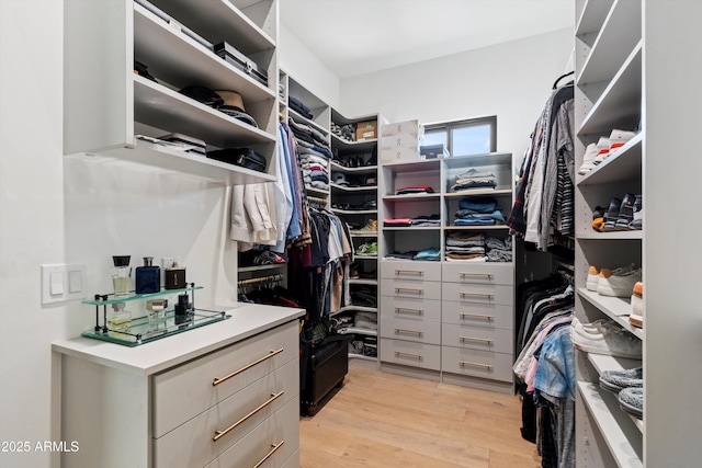 spacious closet featuring light wood-type flooring