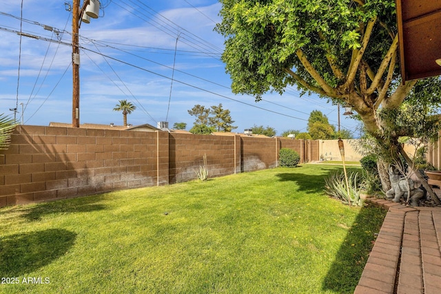 view of yard featuring a fenced backyard