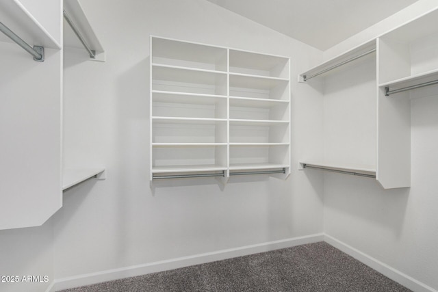 spacious closet featuring carpet and vaulted ceiling