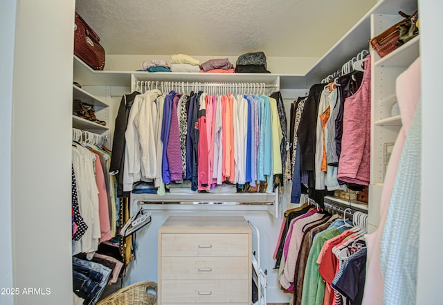 view of spacious closet
