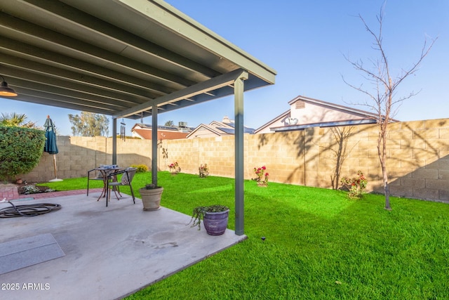 view of yard featuring a patio area