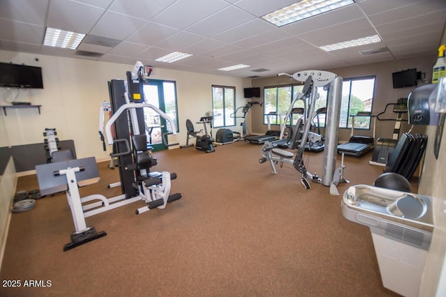 exercise room featuring a paneled ceiling and carpet flooring