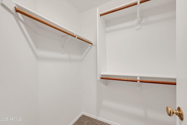 8009 W Salter Dr, Peoria, AZ 85382 - spacious closet with carpet