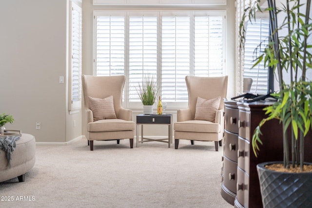 sitting room featuring carpet and a wealth of natural light