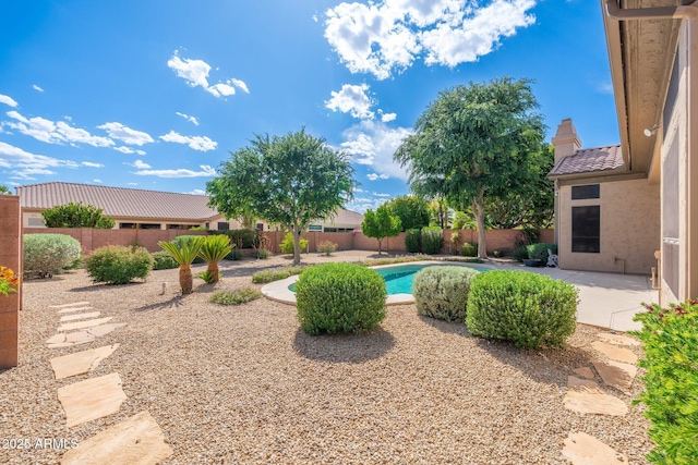 view of yard with a fenced in pool, a fenced backyard, and a patio area