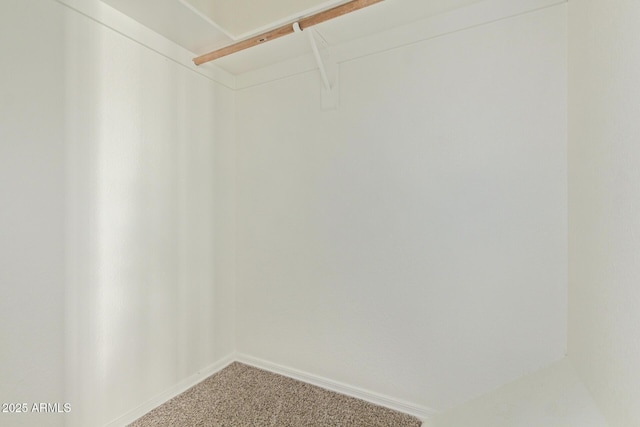2301 E University Dr Unit 172, Mesa, AZ 85213 - spacious closet featuring light colored carpet