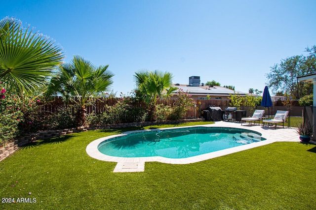 view of swimming pool featuring a patio area and a lawn