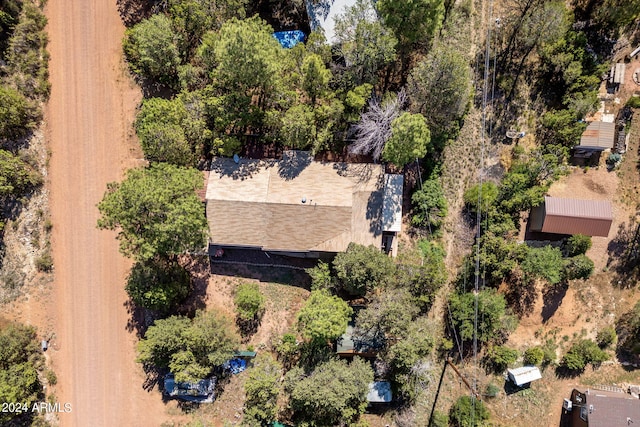 1987 Stagg Run, Overgaard, AZ 85933 - bird's eye view