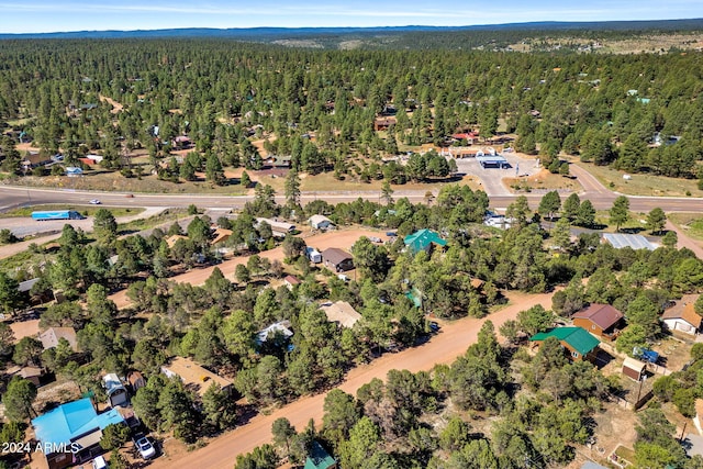 1987 Stagg Run, Overgaard, AZ 85933 - bird's eye view