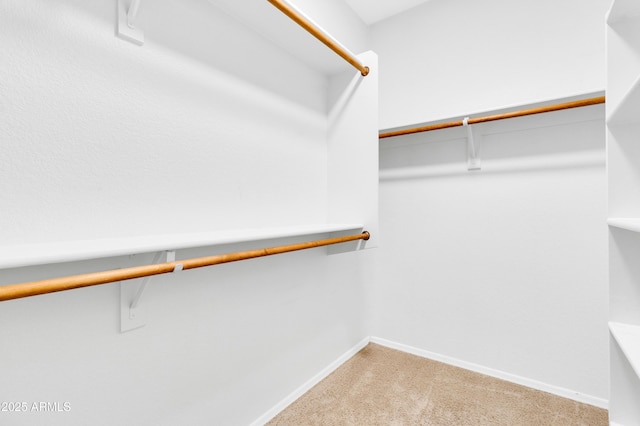 1422 E Ebony Dr, Chandler, AZ 85286 - walk in closet featuring light carpet