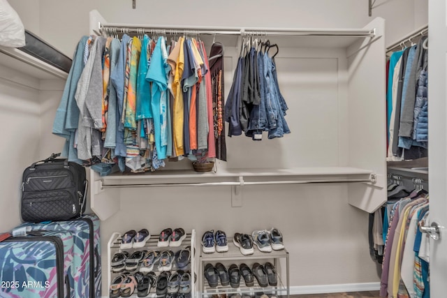 view of spacious closet
