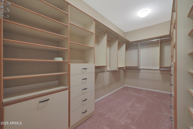 spacious closet with light carpet