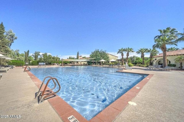 view of pool featuring a patio area