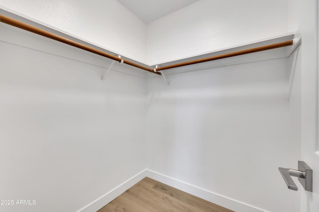 walk in closet featuring light wood-style flooring