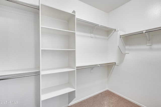 walk in closet featuring carpet