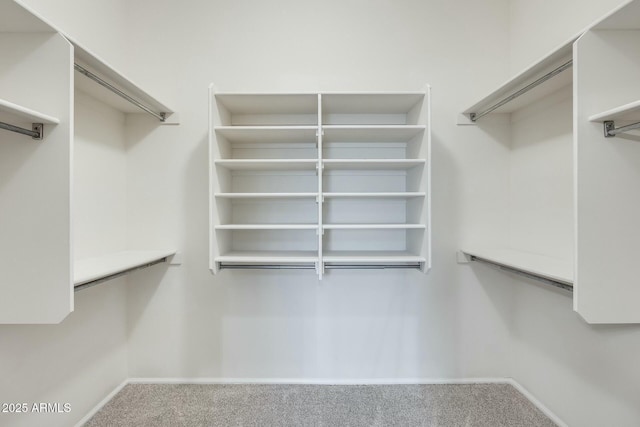 walk in closet featuring carpet floors