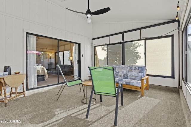 sunroom featuring carpet floors and a ceiling fan