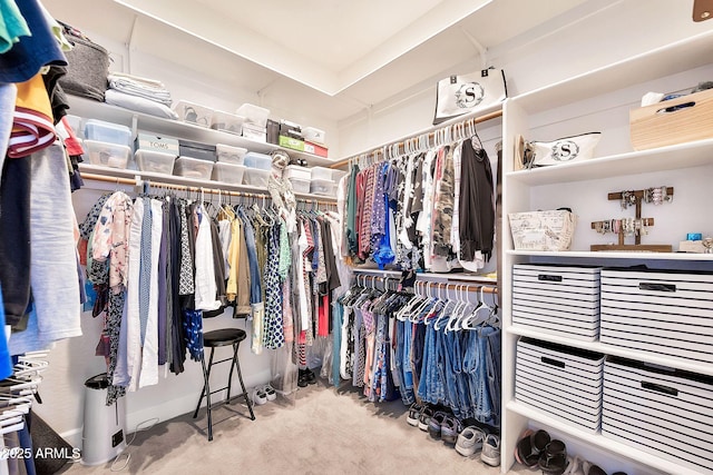 spacious closet featuring carpet flooring