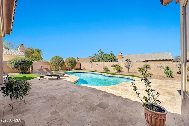 view of swimming pool with a patio, a fenced backyard, and a fenced in pool