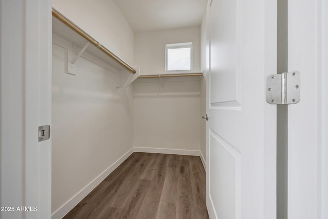 spacious closet with wood finished floors