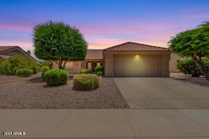 view of front of property with a garage