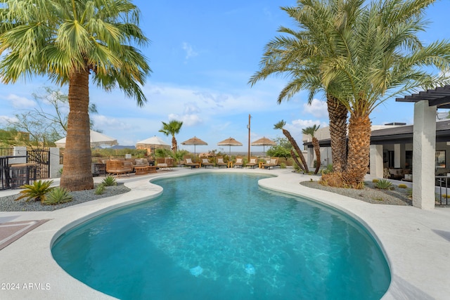 view of pool with a patio