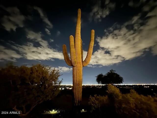 view of nature at dusk