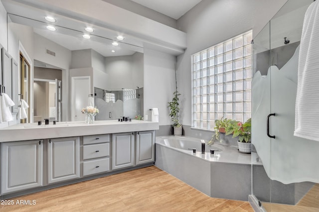 bathroom with wood-type flooring, plus walk in shower, and vanity