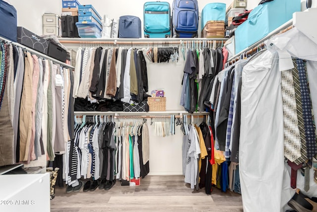 1333 W Deer Creek Rd, Phoenix, AZ 85045 - spacious closet with wood finished floors