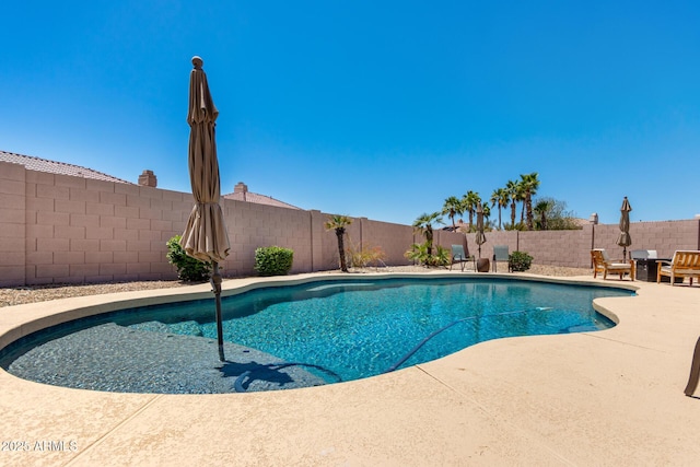 1333 W Deer Creek Rd, Phoenix, AZ 85045 - view of swimming pool featuring a fenced in pool, a fenced backyard, and a patio area