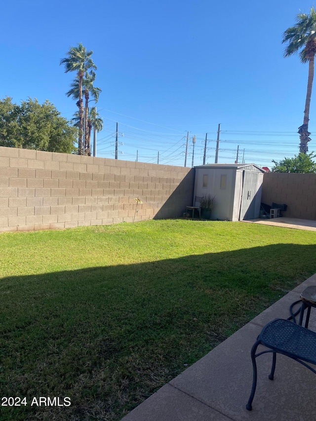 view of yard with a storage unit