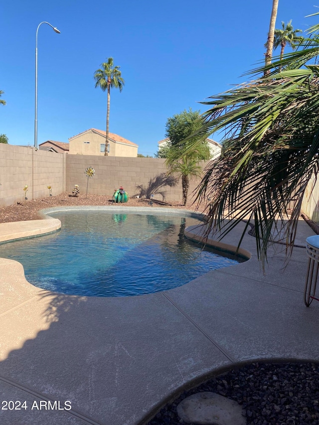 view of pool with a patio