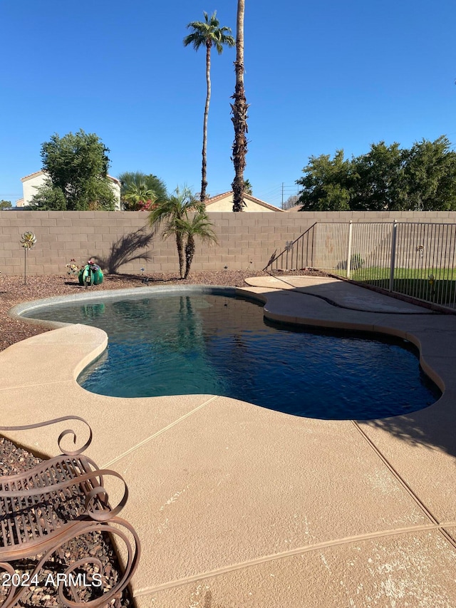 view of swimming pool with a patio