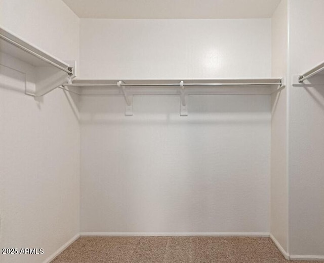 walk in closet featuring carpet flooring