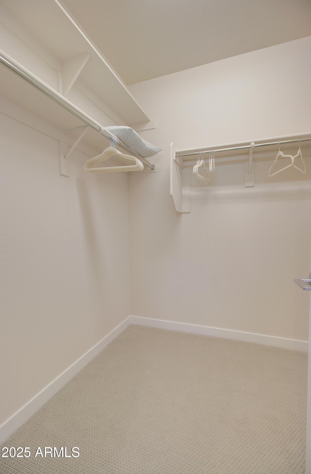 spacious closet featuring carpet flooring