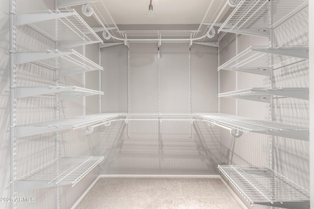 spacious closet featuring carpet floors