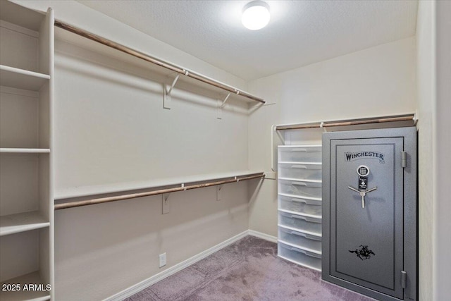 spacious closet with carpet