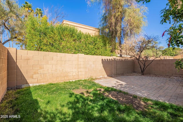 view of yard with a patio and a fenced backyard