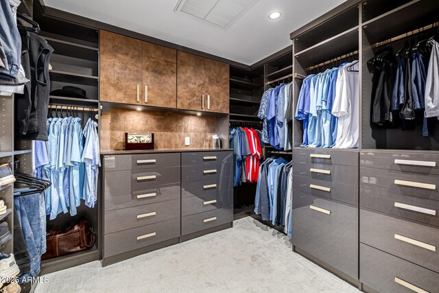 5404 N 41st St, Phoenix, AZ 85018 - view of spacious closet