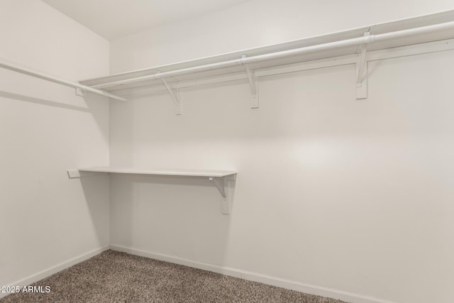 1028 W 5th St, Mesa, AZ 85201 - walk in closet featuring carpet floors
