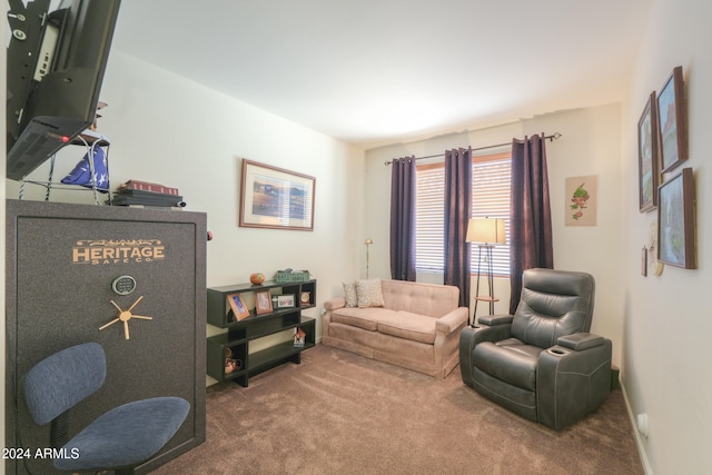 living room with carpet flooring