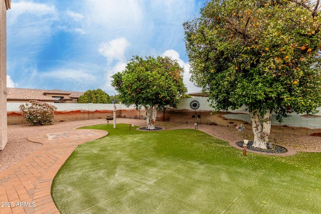 view of yard featuring a fenced backyard