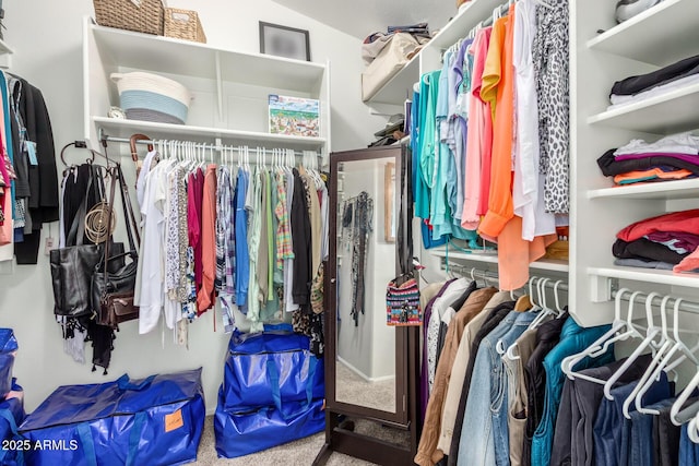 spacious closet with carpet