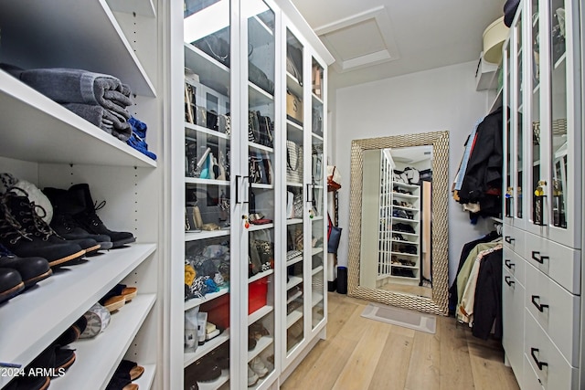 spacious closet with light wood-type flooring