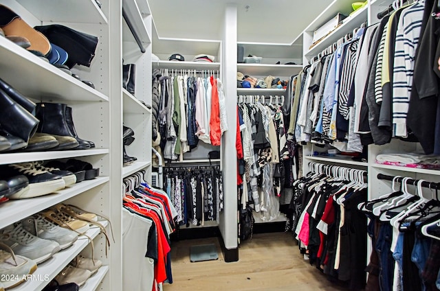 walk in closet with light wood-type flooring